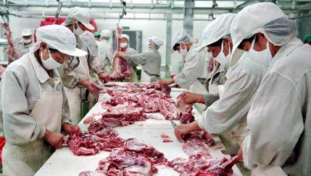 不懂滾揉 別說(shuō)你懂肉制品加工