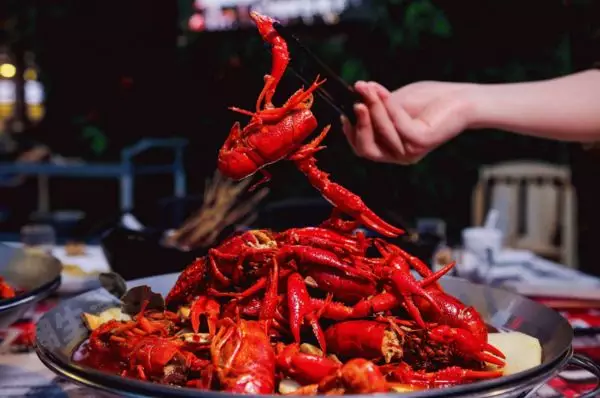 潛江小龍蝦竟搶早1個月上市！塊頭雖大口感品質(zhì)欠佳