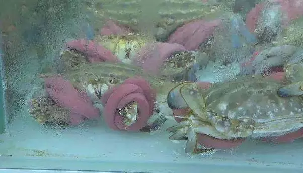 永輝、盒馬生鮮均被曝