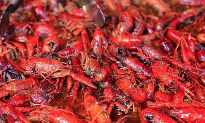 小龍蝦大戰(zhàn)開幕，看看京東、天貓、國聯(lián)、信良記、安井都是如何搶蝦的？