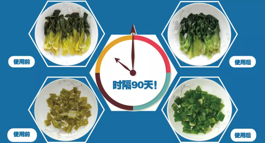 青菜“綠”了，生意紅了，這款“美顏神器”不簡單！