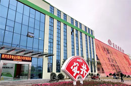 安井只是賣丸子的？不，它已成速凍品類“三劍客