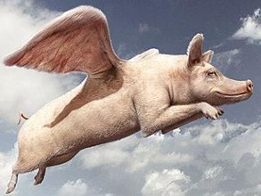 最大養(yǎng)豬戶巨虧4.6億元！風(fēng)口上的“二師兄”為啥沒飛？