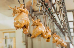 漂泊38年后花800萬(wàn)“贖回”，道口燒雞老字號(hào)“義興張”商標(biāo)完璧歸趙