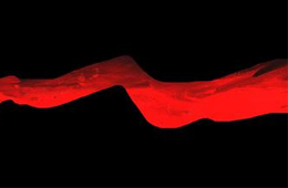 行業(yè)丨速凍食品新國家標(biāo)準(zhǔn)正式實施，這些“紅線”要注意了！