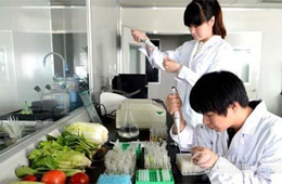 做研發(fā)一年花6838萬，安井“砸錢”氣勢直逼雙匯