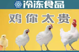 量?jī)r(jià)齊升，養(yǎng)白羽肉雞咋還虧了？