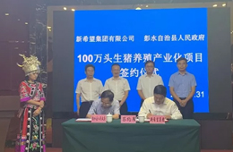 新希望六和落子渝豫甘，生豬規(guī)模再增200萬頭！