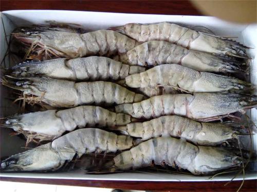 1566291108509106.jpg ba26d0c90f984a586334f3f1a25c3795_u=3135108056,1067128483&fm=26&gp=0.jpg