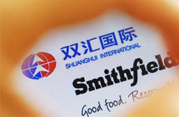 增收不增利，雙匯發(fā)展如何應(yīng)對(duì)“二師兄”漲價(jià)