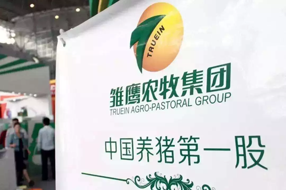 1567736596801204.png %GIJXW~H5ZI(B@I0@ZZSGVQ.png