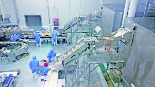  蚊蟲、毛發(fā)、焊渣……食品車間異物如何“一掃光”