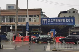 武漢華南海鮮市場元旦起休市，恢復營業(yè)時間未定