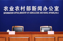 非瘟爆發(fā)至今，全國(guó)共撲殺生豬120萬頭；2萬噸儲(chǔ)備肉今日出庫(kù)競(jìng)價(jià)