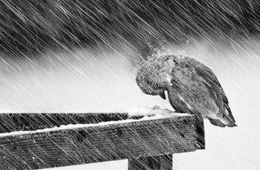 熱點(diǎn) | 海欣營(yíng)銷總監(jiān)給經(jīng)銷商的自救指南：立即行動(dòng)，應(yīng)對(duì)變化！