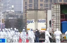 武漢華南海鮮市場完成大規(guī)模消殺；牛蛙、烏龜不列入禁食范圍