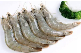 人力缺失、資金鏈斷裂！厄瓜多爾白蝦產(chǎn)能降至三分之一！多家企業(yè)面臨破產(chǎn)風(fēng)險(xiǎn)！