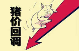  農(nóng)業(yè)農(nóng)村部：豬肉價(jià)格連8周回落，高峰或在9月前后出現(xiàn)
