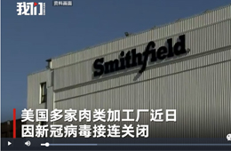 史密斯菲爾德、泰森等國外肉類巨頭停工，或引發(fā)全球“肉慌”？