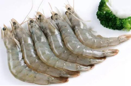 新鄉(xiāng)市一件進口南美白蝦外包裝核酸檢測呈陽性，所涉人員、場所環(huán)境核酸檢測均為陰性