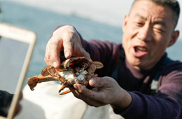 一季度電商直播超400萬場(chǎng)！直播帶貨到底有多火？為何海鮮永遠(yuǎn)是爆品？