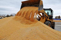  疫情全球肆虐，為什么我國不會(huì)出現(xiàn)糧食危機(jī)?