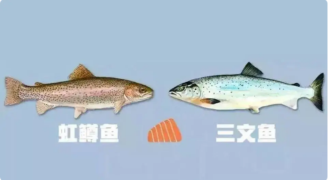 1592358234260374.png X[3FN6@%3ZBYVFO89%[4OH7.png