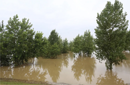 火速馳援！三全、白象、好想你奔赴抗洪一線捐贈美食