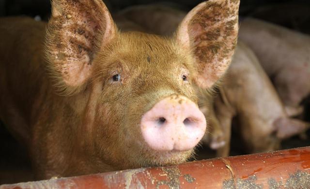 1604384401436307.jpg 071ad4159400c9b02a28ca44d8deb6ed__url=http%3A%2F%2Fdingyue.ws.126.net%2F2020%2F1102%2F8ff88a68j00qj68yy000yd000hs00avp.jpg&thumbnail=650x2147483647&quality=80&type=jpg.jpg