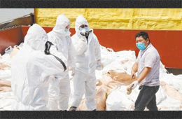 水產(chǎn)、禽肉、豬肉、牛肉…多種進口凍品連續(xù)檢出新冠陽性，冷鏈追溯構(gòu)筑防控“安全鏈”