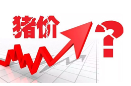 豬價(jià)又“變臉”，新一波漲勢(shì)來(lái)了？農(nóng)業(yè)農(nóng)村部：或持續(xù)到元旦春節(jié)