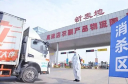 北京新發(fā)地暫停凍品等銷售和儲(chǔ)存；天津海聯(lián)冷庫(kù)感染源為北美豬頭