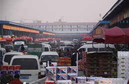 追蹤 | 冷庫停業(yè)，旺季將至，急壞凍品人！怎么辦？