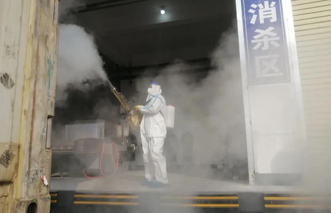 1611196530511921.jpg 1611196530511921.jpg