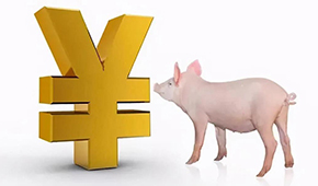 誰是國(guó)內(nèi)養(yǎng)豬第一大??？