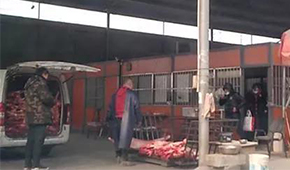 又見瘦肉精，河北青縣問題羊肉流向河南等地！當(dāng)?shù)卣o急回應(yīng)