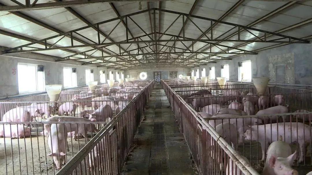 1616549982386525.jpg 1616549982386525.jpg