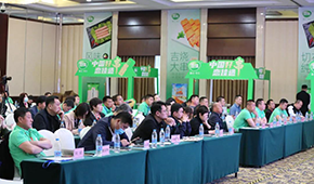 搶占串類市場，上佳食品推20余款新品