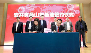 安井新動作：國內(nèi)密集布局產(chǎn)能，海外收購英國公司開啟國際