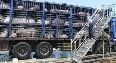 1617239674247982.jpg 微信圖片_20210401091301.jpg