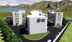 植物肉風口下的“黑馬”，三全、思念都選它