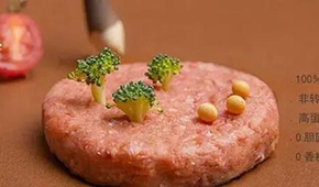 對(duì)話拉絲蛋白巨頭：植物肉是一場(chǎng)飲食革命，大眾消費(fèi)是方向