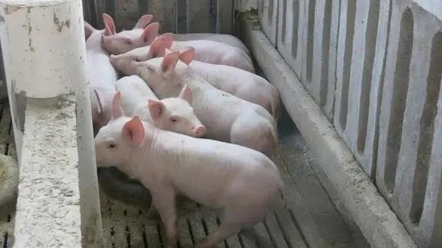 1623893843523059.jpg 1623893843523059.jpg