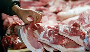 發(fā)改委發(fā)布生豬價(jià)格過(guò)度下跌三級(jí)預(yù)警 ，豬價(jià)真的要“奔5”？