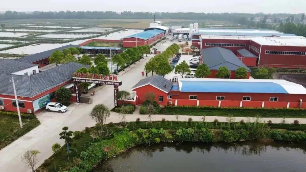 1624412302242826.jpg 1624412302242826.jpg