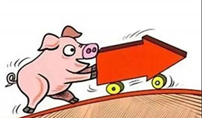 豬價翻紅“6連漲”，沖上10元大關(guān)；凍品人發(fā)朋友圈：時間不等人，快抓緊備貨！