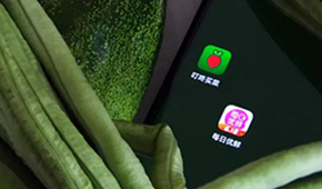 叮咚買菜、每日優(yōu)鮮接連上市，是否持續(xù)利好預(yù)制菜成為“家常菜”？