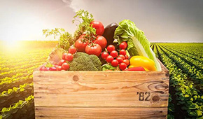 麥金地：從餐配轉(zhuǎn)型食品加工，“三級(jí)廚房”打造全國(guó)供應(yīng)鏈集群