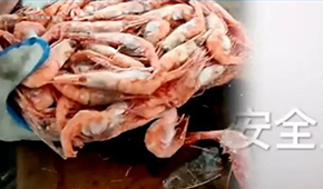 生產(chǎn)日期隨意改、過(guò)期蝦換包裝秒變合格品……味庫(kù)海鮮攤上事了，曾獲6輪融資