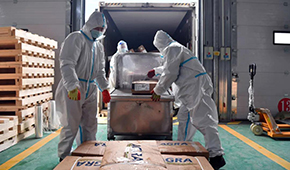 全國28個省份已建成869個集中監(jiān)管倉，進口冷鏈“國家平臺”將升級2.0版